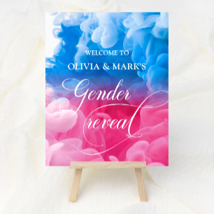 Pink and Blue Smoke Gender Reveal Welcome Sign