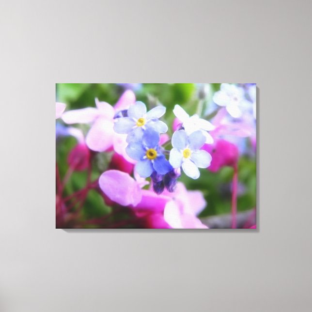 Pink And Blue Spring Flowers Canvas Print (Front)