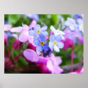 Pink And Blue Spring Flowers Poster