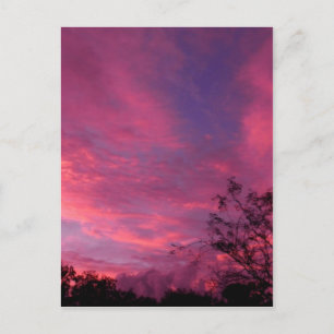 Pink and Blue Sunset Sunrise Sky Skies Photo Postcard