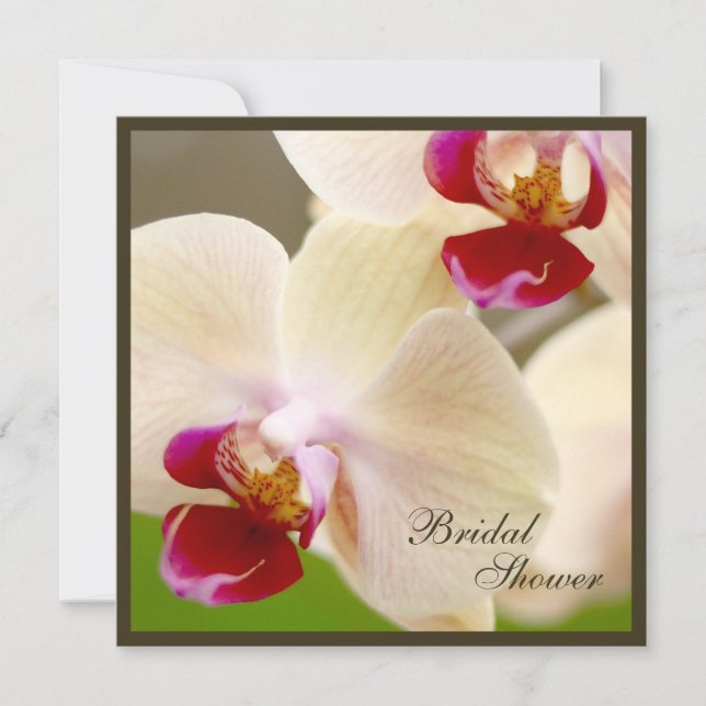 Pink and Cream Orchid Bridal Shower Square Invitation (Front)