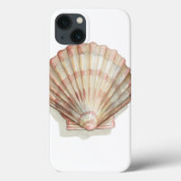 Pink and Cream Seashell