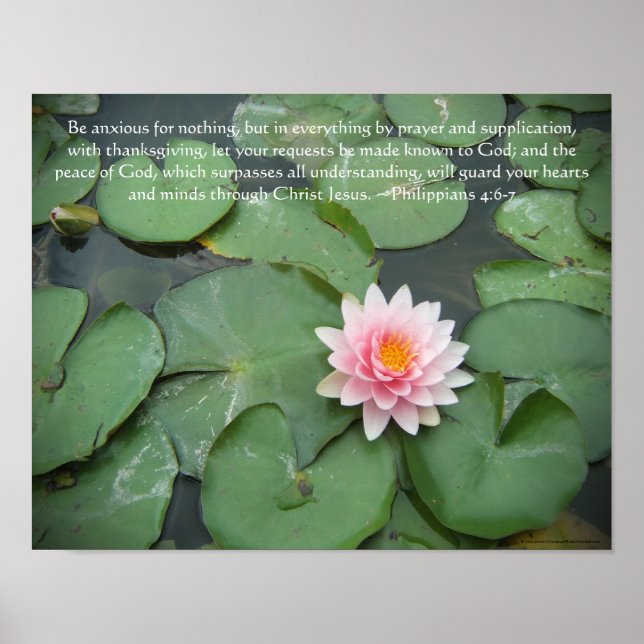 Pink and Green Lily Pad Flower w/Bible Verse Poster (Front)