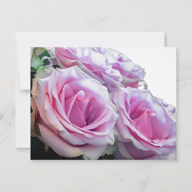 Pink and Green Roses Invitation (Front)