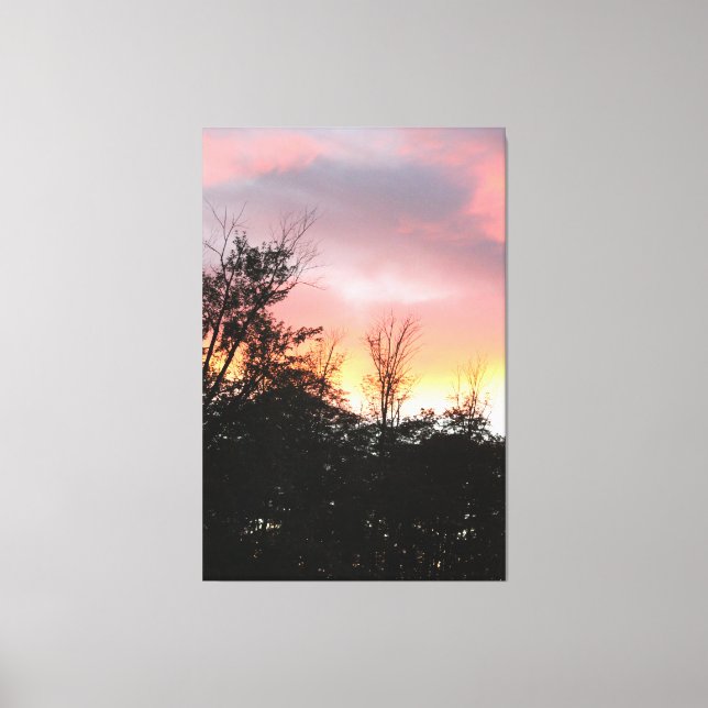Pink And Inky Black Canvas Print (Front)