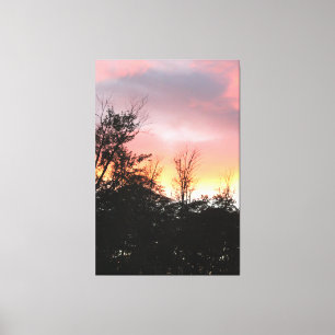 Pink And Inky Black Canvas Print
