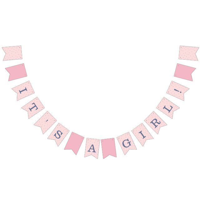 Pink and Navy Baby Shower Bunting (All)
