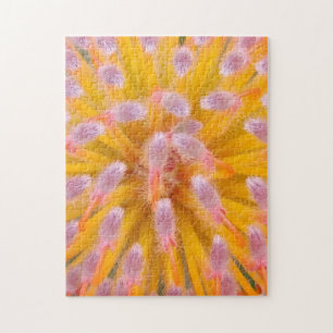 Pink and Orange Pincushion Proteaceae Jigsaw Puzzle