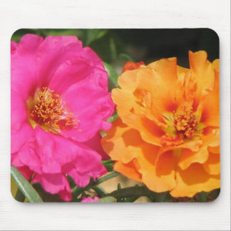 Pink  and Orange Portulaca Mouse Pad