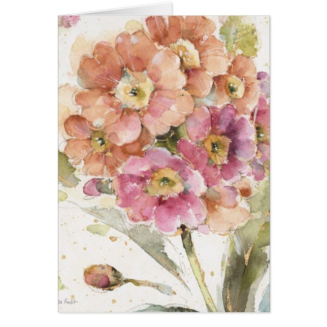 Pink and Orange Primrose (Front)