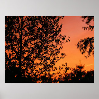 Pink and Orange Sky Poster