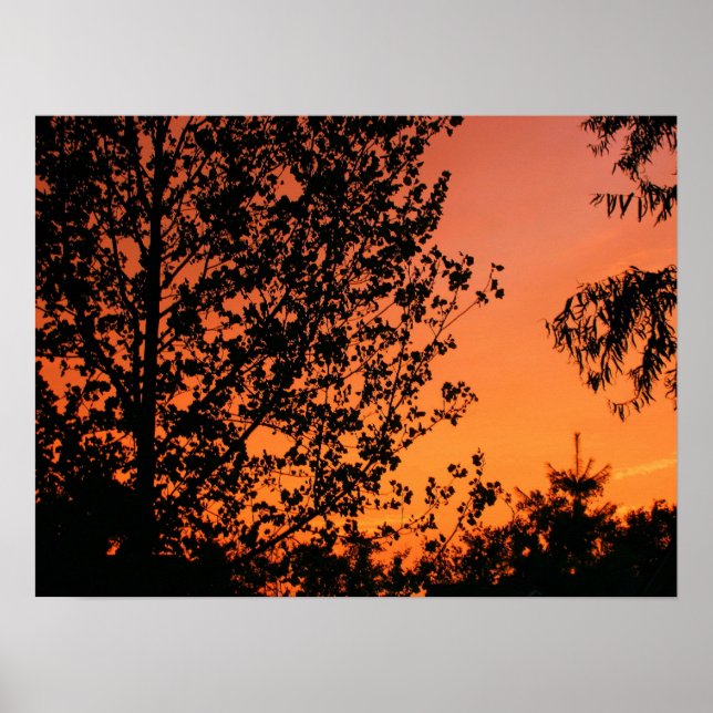 Pink and Orange Sky Poster (Front)