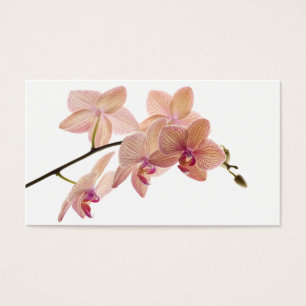 Pink and Peach Dendrobium Orchid - Customised