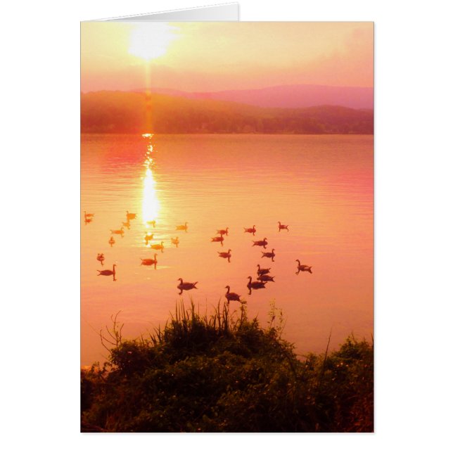 Pink and peach lake sunset (Front)