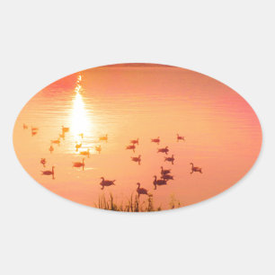 Pink and peach lake sunset oval sticker