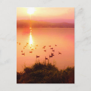 Pink and peach lake sunset postcard
