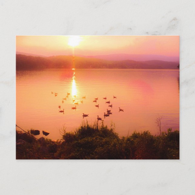 Pink and peach lake sunset postcard (Front)