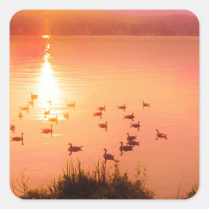 Pink and peach lake sunset square sticker