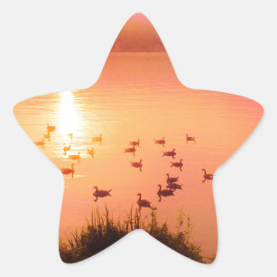 Pink and peach lake sunset star sticker