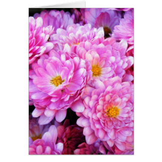 "Pink and Pretty Mums"