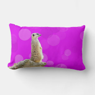 Pink And Purple Alert Meerkat Design, Lumbar Cushion