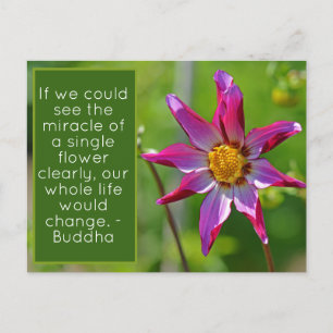 Pink and Purple Dahlia Flower Inspirational Postca Postcard