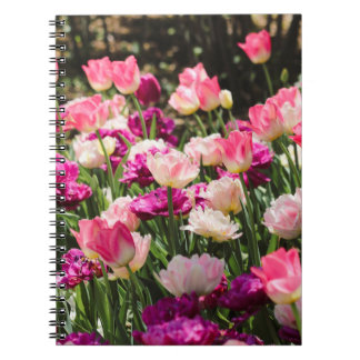 Pink and Purple Delight Notebook