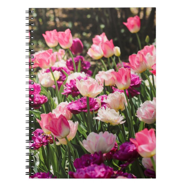 Pink and Purple Delight Notebook (Front)