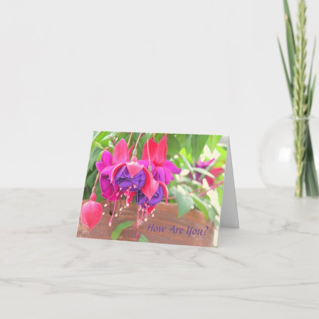 PINK AND PURPLE FUCHSIA CASCADING FROM CLAY POT CARD (Front)