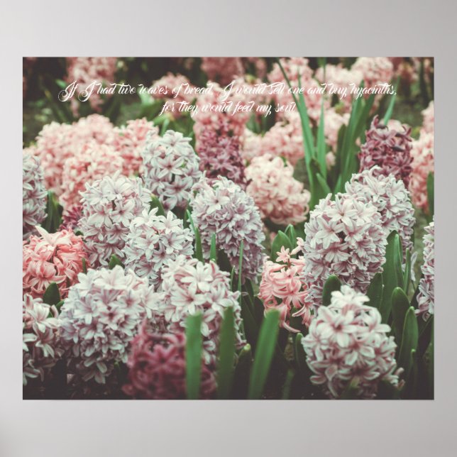 Pink and Purple Hyacinth in the Spring Garden Poster (Front)
