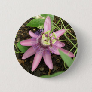 Pink and Purple Passionflower Button