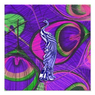 Pink and Purple Peacock Photo Print