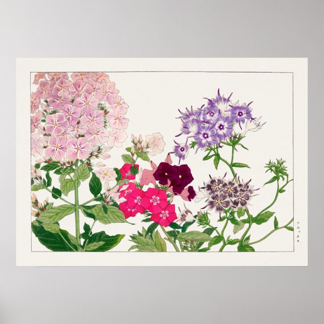 Pink and Purple Phlox Flowers by Tanigami Konan, Poster (Front)