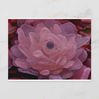 Pink and Purple Sea Glass Flower Postcard