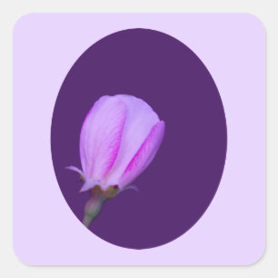 Pink and Purple Spring Blossom Square Sticker