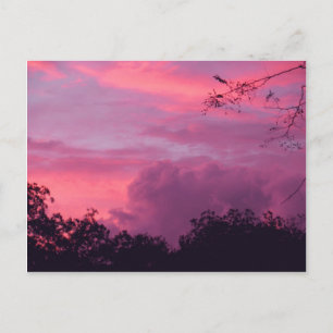 Pink and Purple Sunset Sunrise Sky Skies Photo Postcard