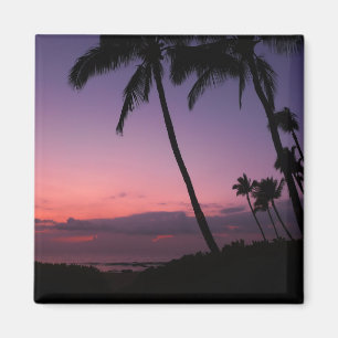 Pink and purple tropical sunset magnet