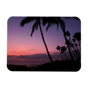Pink and purple tropical sunset rectangle magnet