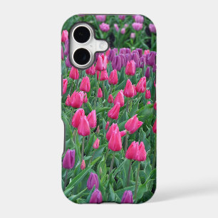 Pink and purple tulips spring garden