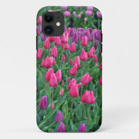 Pink and purple tulips spring garden