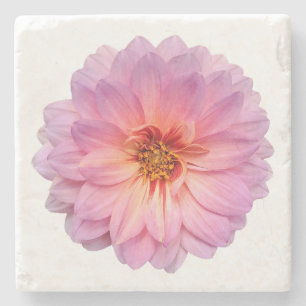 Pink and Purple Zinnia Flower White Stone Coaster