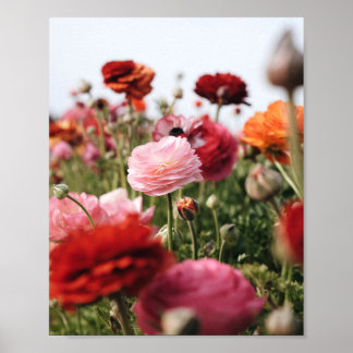 Pink and Red Flower Poster Print