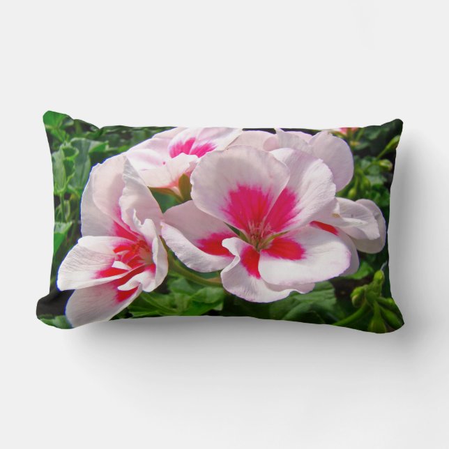 Pink and Red Geranium Floral Lumbar Cushion (Front)
