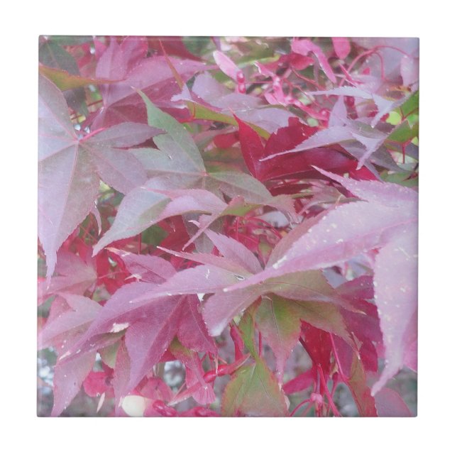 Pink And Sage Fall Leaves Tile (Front)