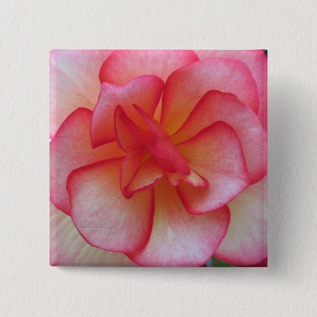 Pink and White Begonia Button (Front)