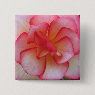 Pink and White Begonia Button