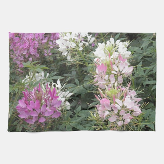 Pink and White Cleome Blooms Tea Towel (Horizontal)