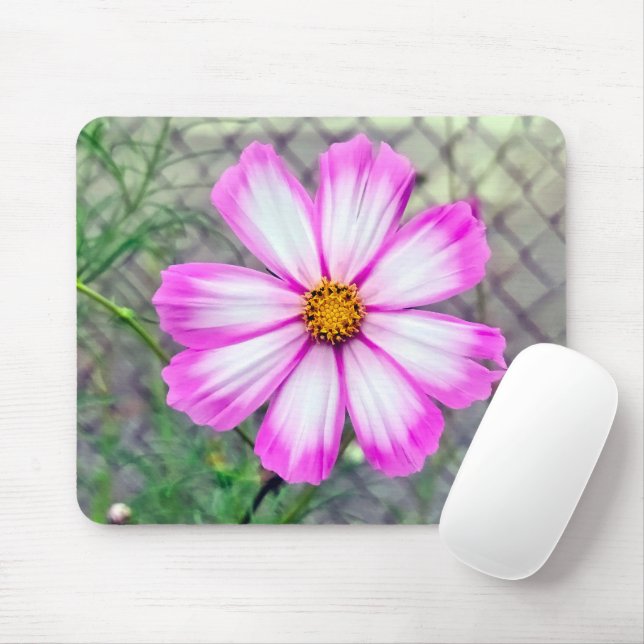 Pink and White Cosmos Flower Mouse Pad (With Mouse)