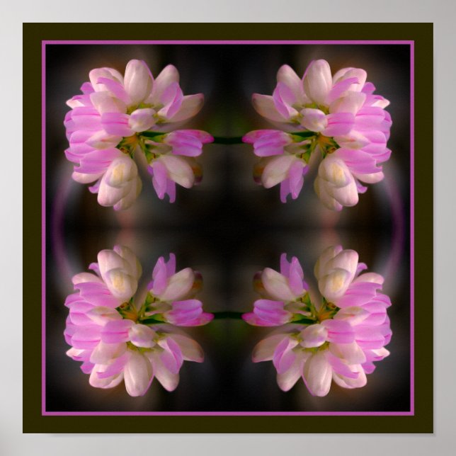 Pink And White Flower Close Up Abstract Poster (Front)