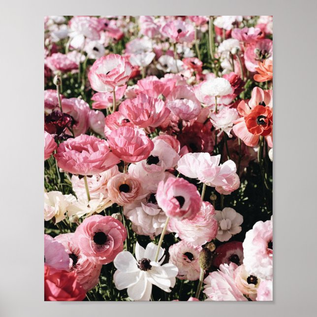 Pink and White Flower poster print (Front)